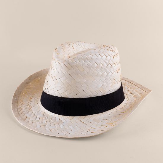 Image de Chapeau Panama