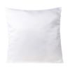 Image de Coussin Pude